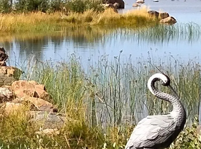 Nelikko Juhla- Ja Majoitustilat * Himanka